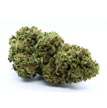 Load image into Gallery viewer, Lifter